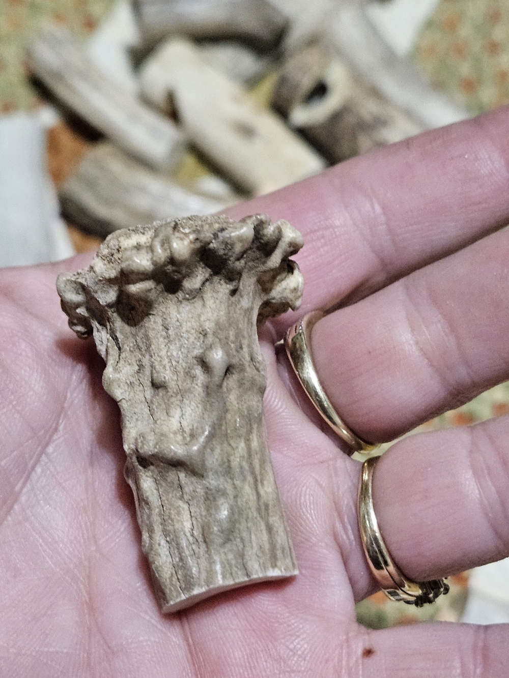 Natural Deer Antler Whistles?Accents? Cut And Drilled – Neutral Gray/Brown - Picture 15 of 16